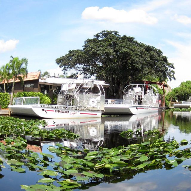 Un paseo por los humedales en [The Everglades]