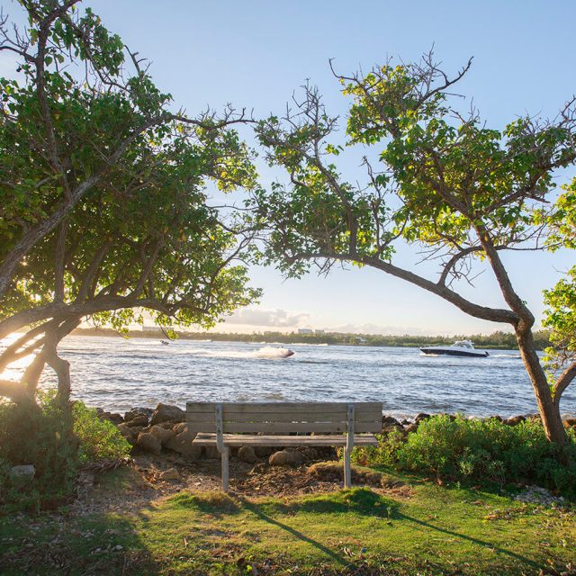 Playa nudista al norte del [Haulover Park]